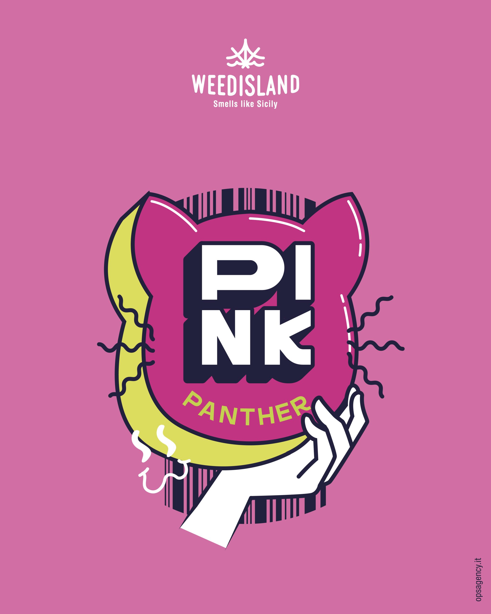 collezione pink 2024