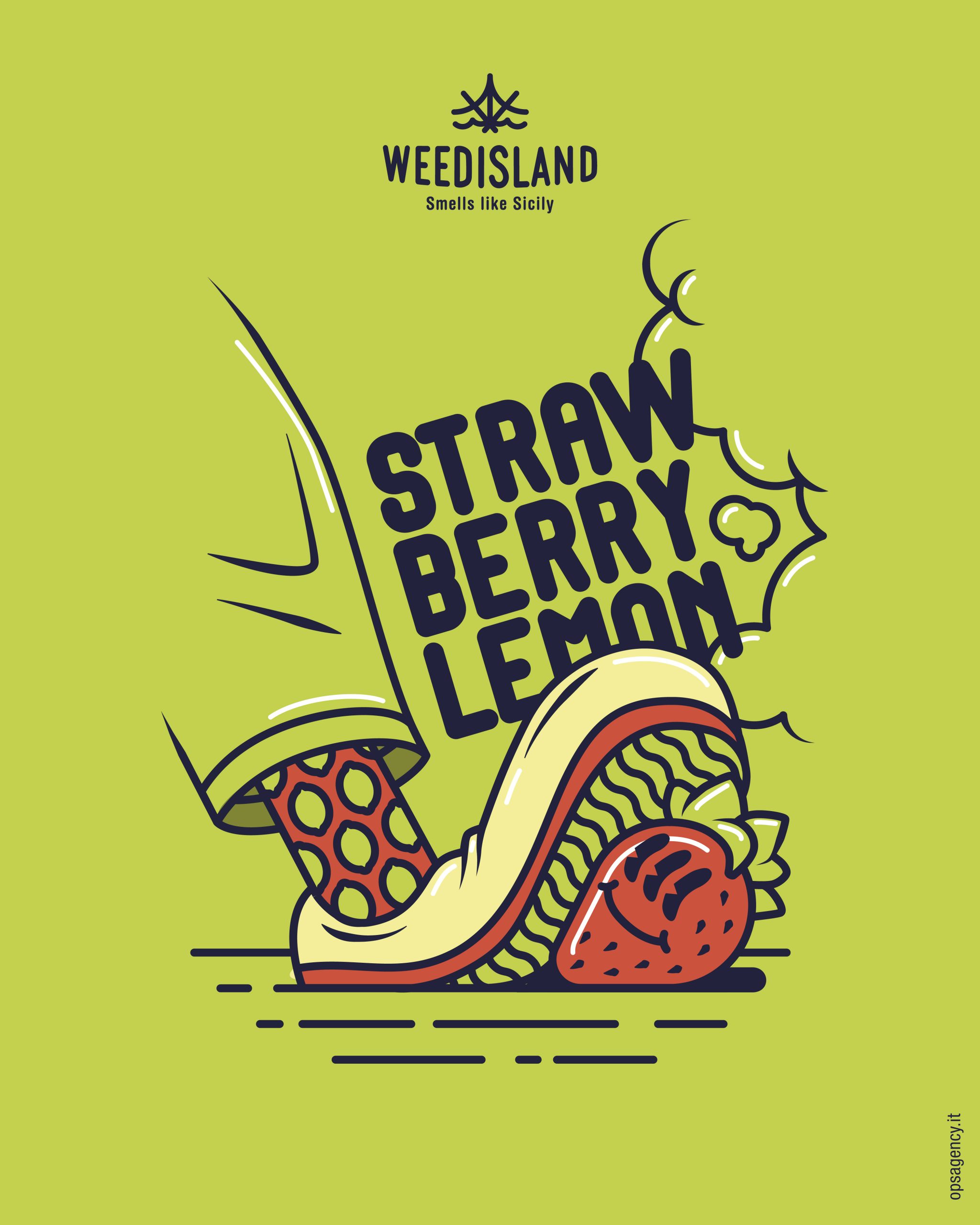 varietà da collezione 2024