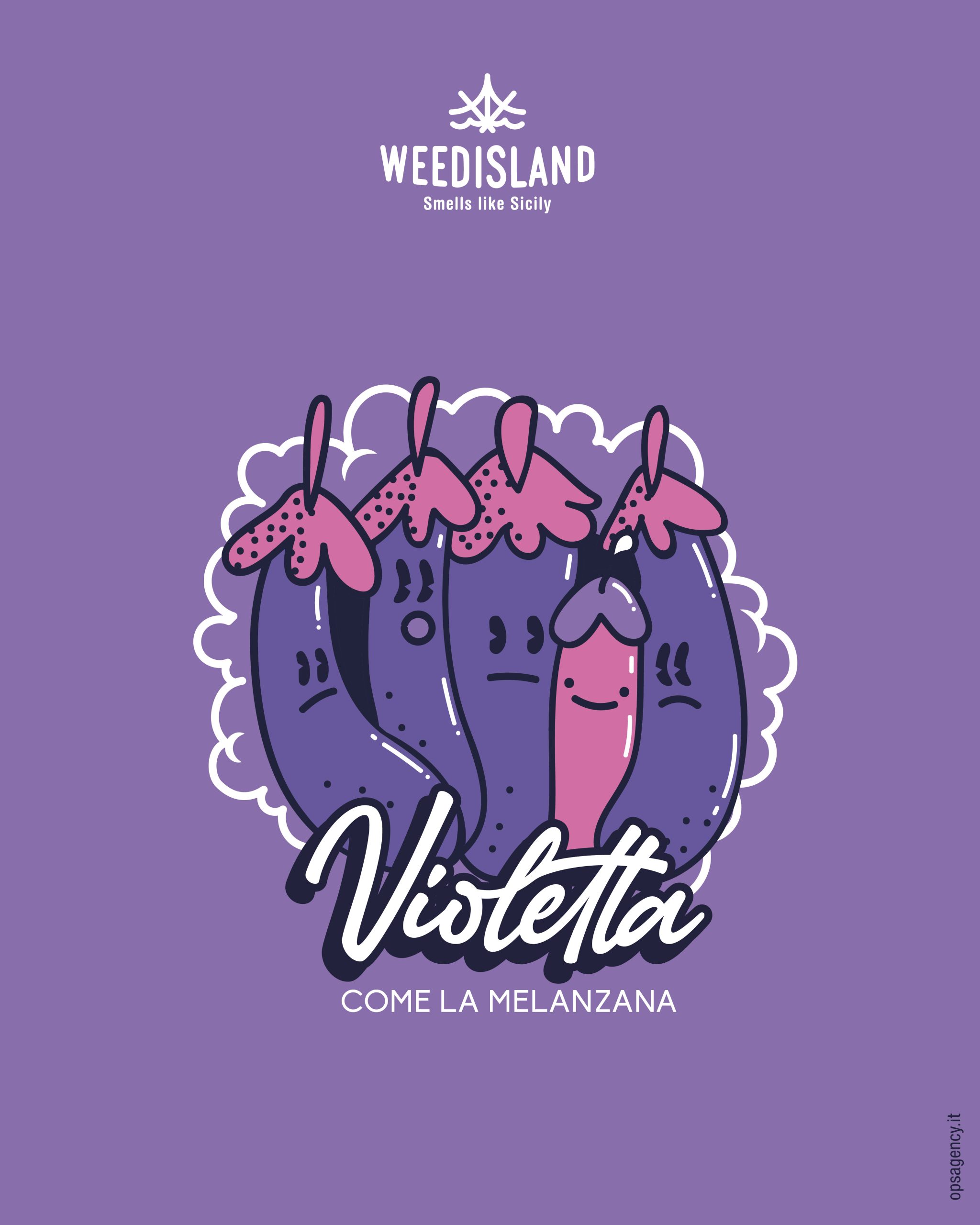 nuova infiorescenza da collezione violetta 2024