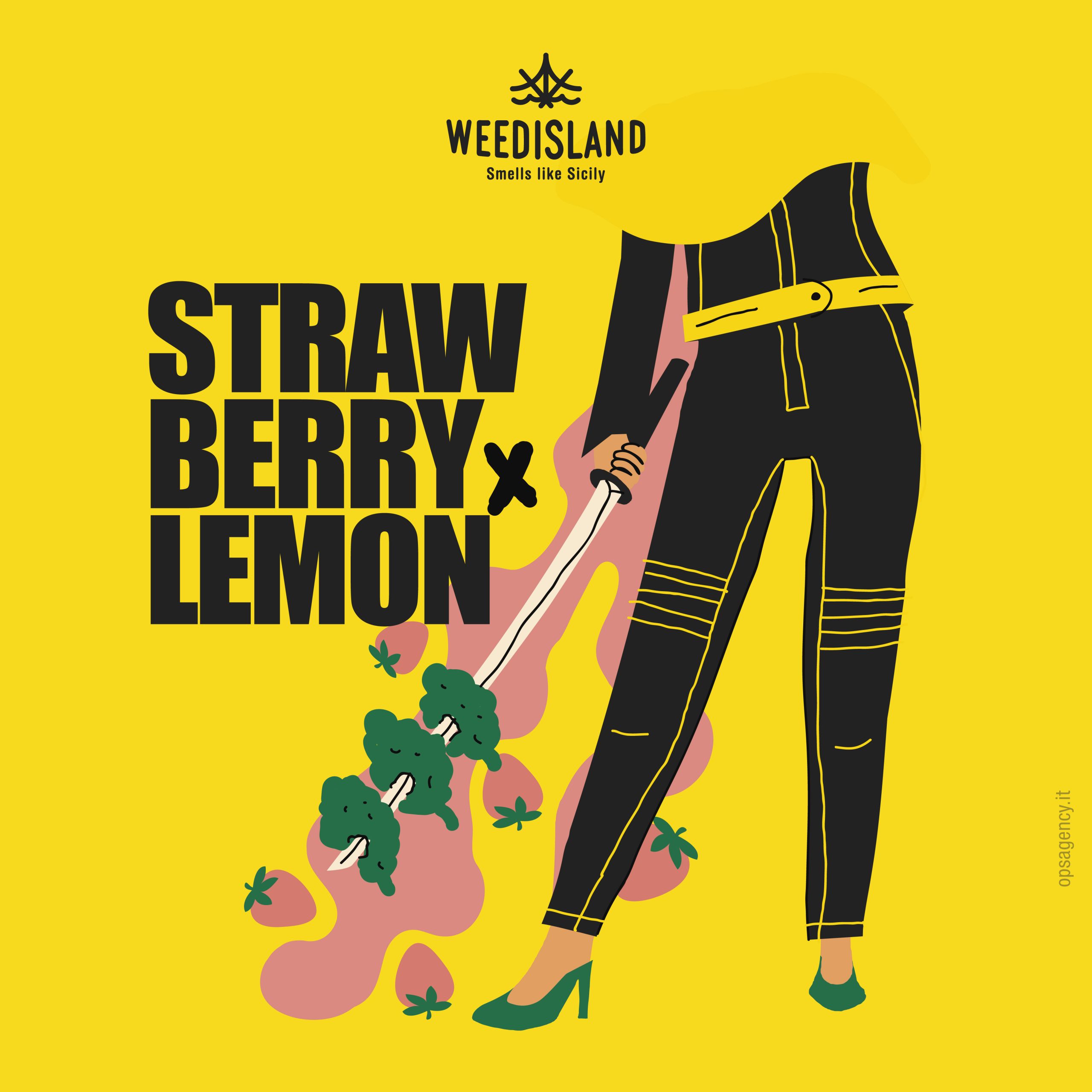 grafica strawberry lemon 2023