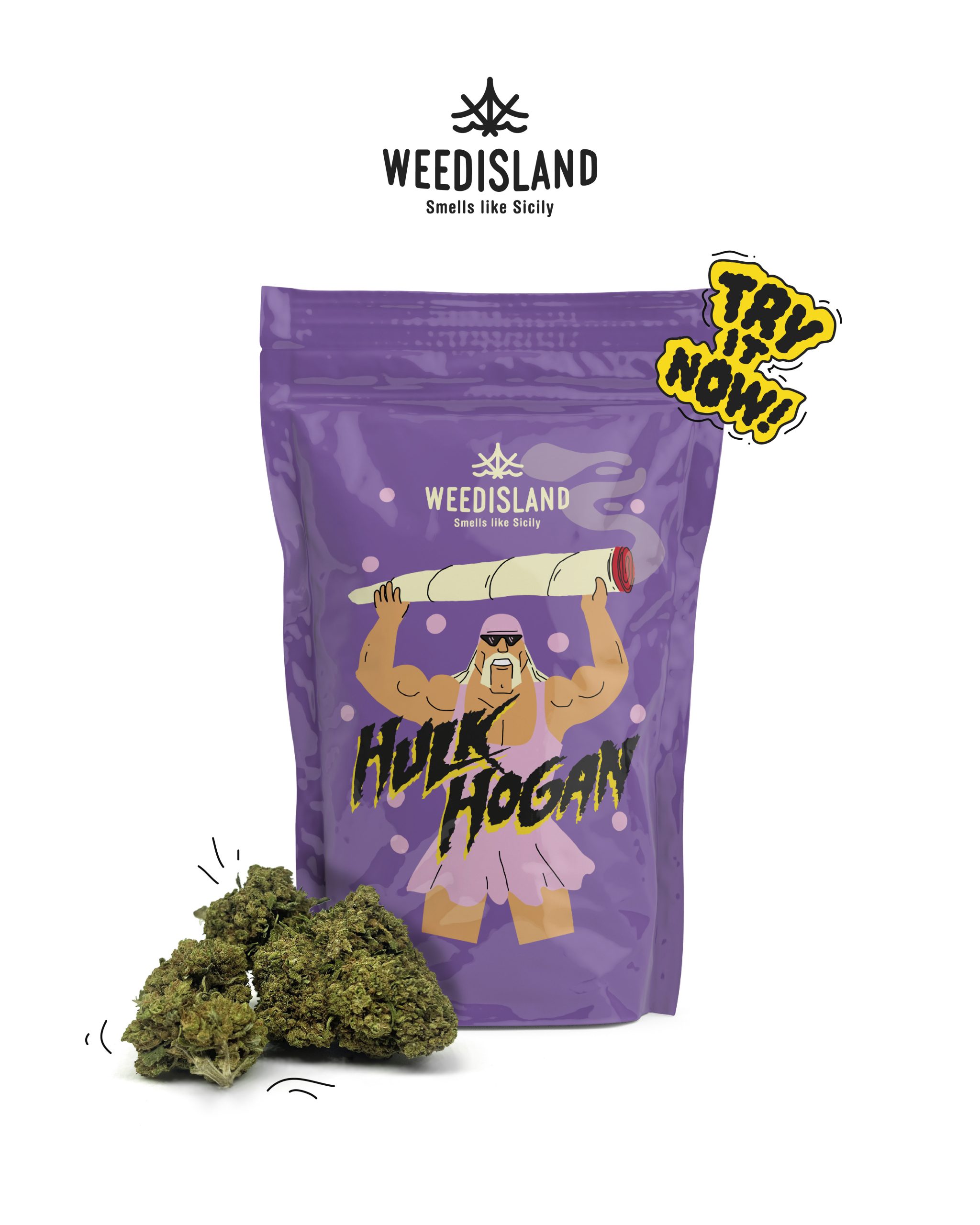 grafica per infiorescenza da collezione hulk hogan 2023