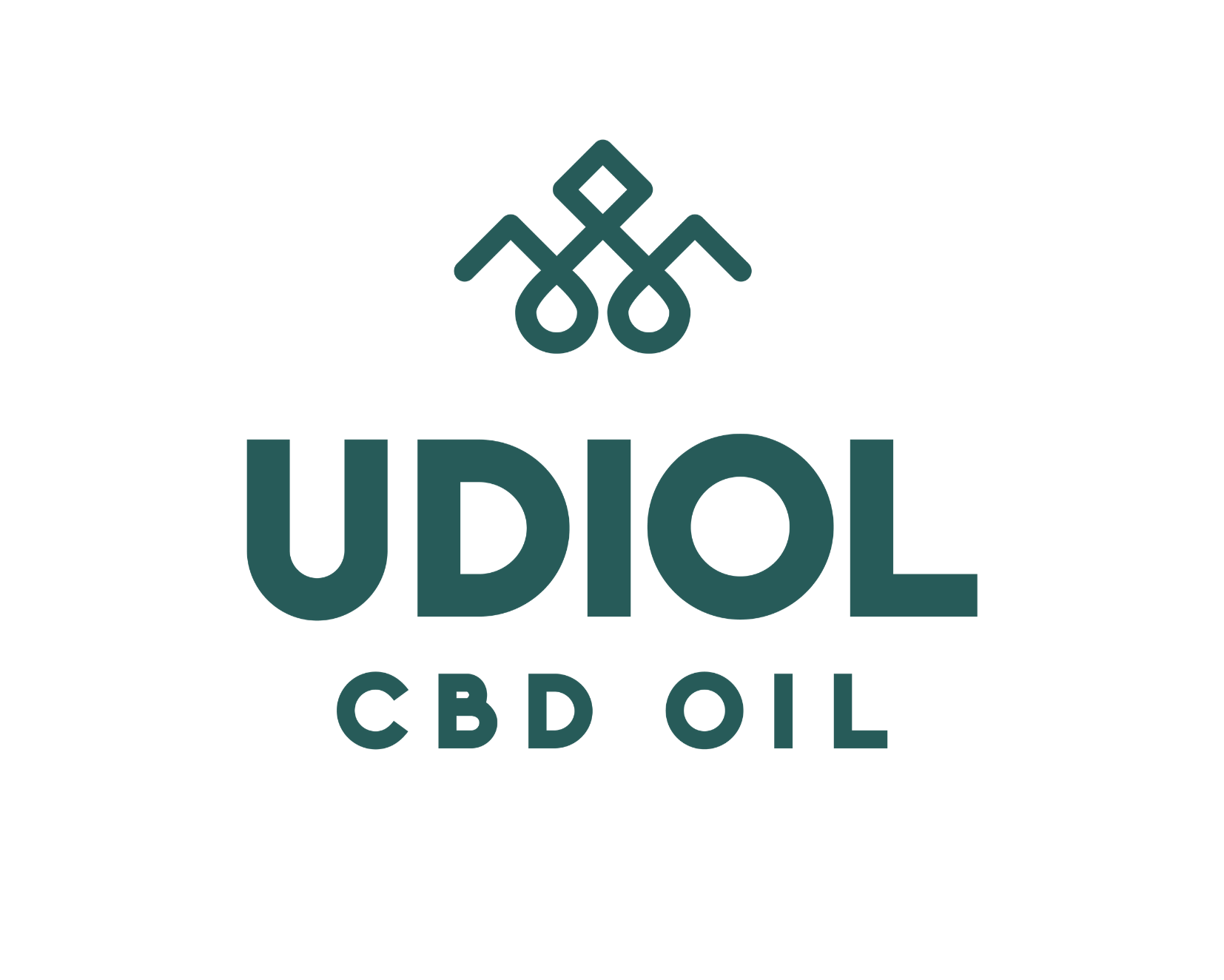 pittogramma, naming e pay off del marchio udiol