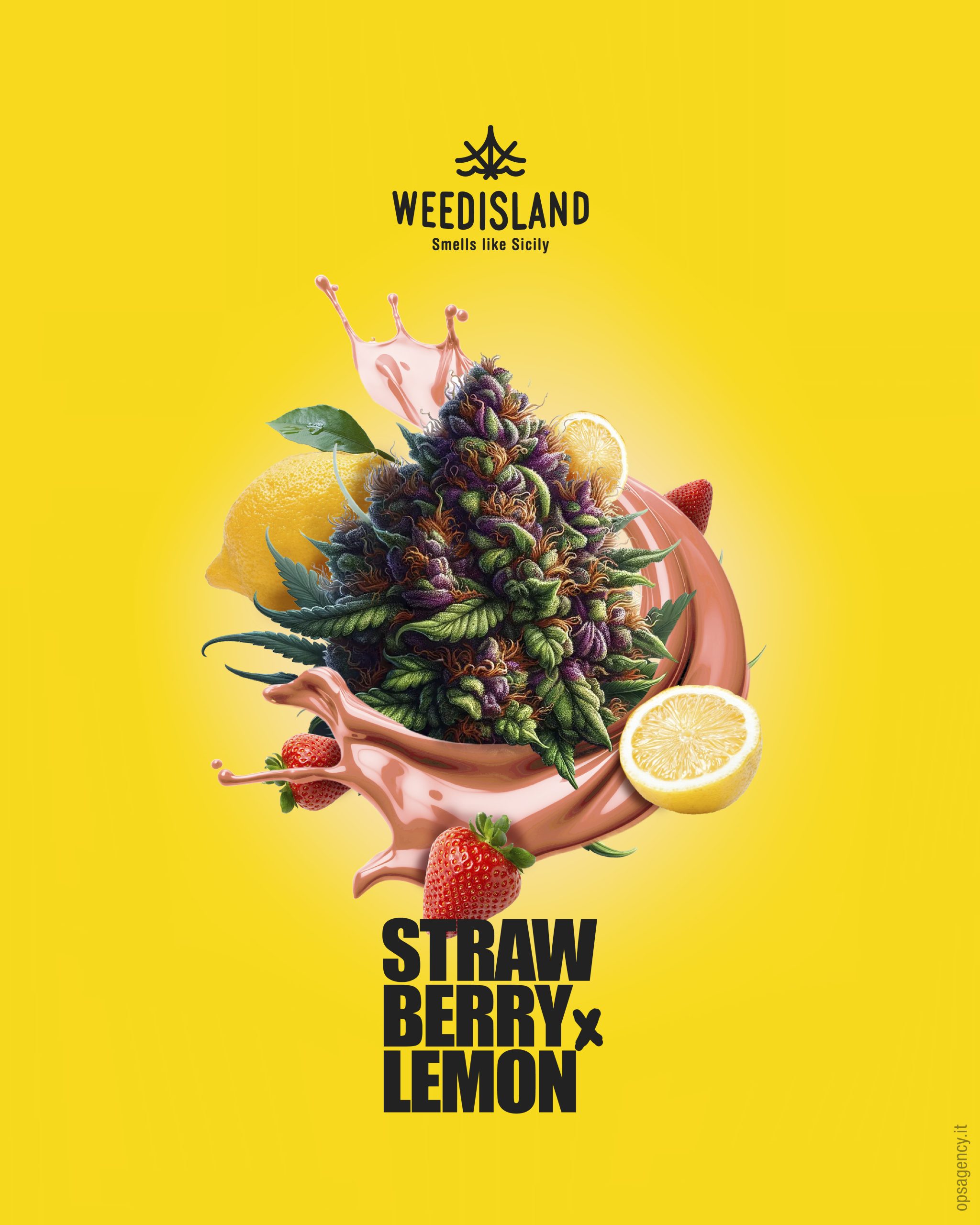 varietà di infiorescenza al gusto di fragola e limone