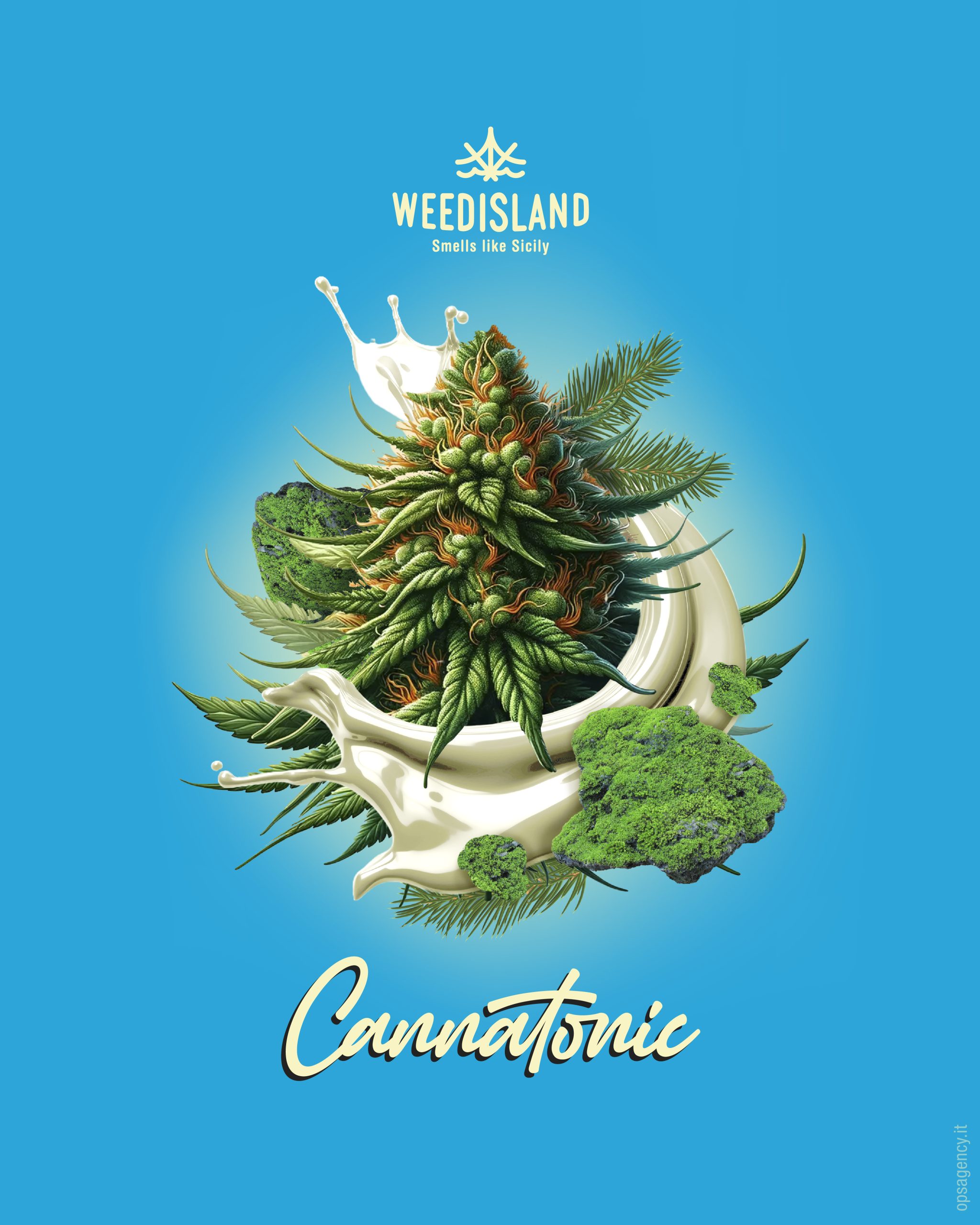 infiorescenza classica senza aromatizzazione