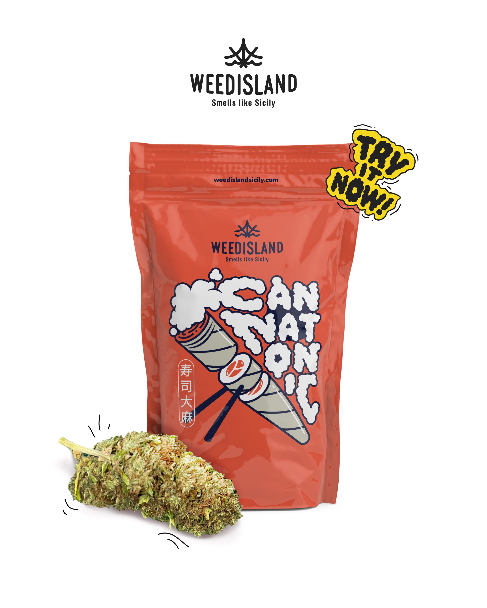 bustina di infiorescenza da collezione 2024