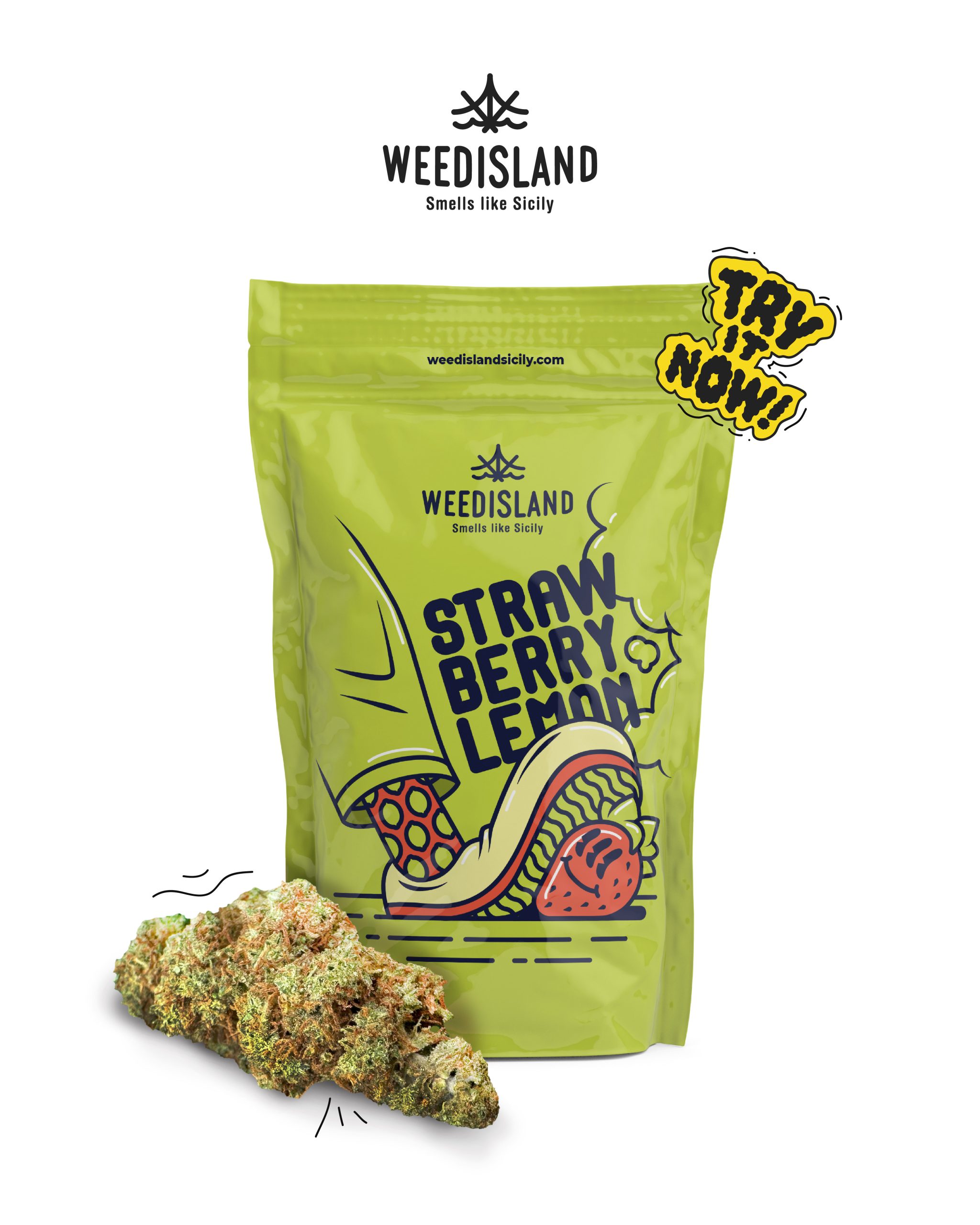 bustina per la nuova collezione 2024