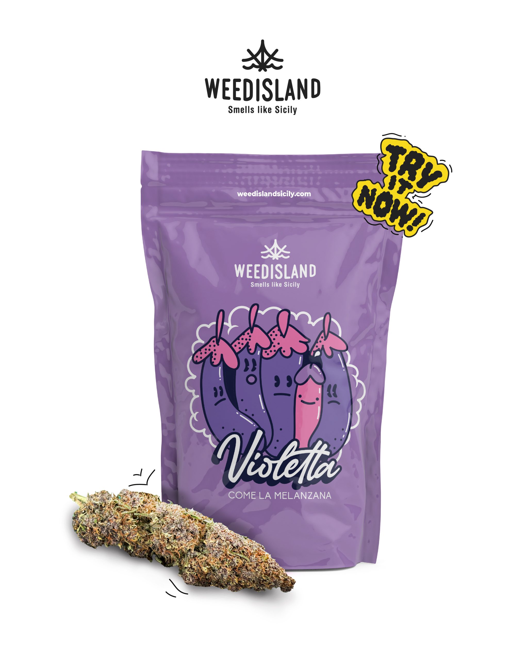 bustina per collezione infiorescenza violetta